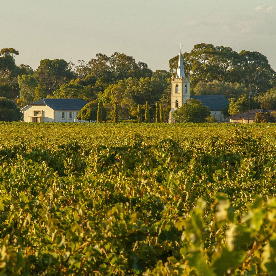 Heritage in the Glass: Yalumba Masterclass with Louisa Rose