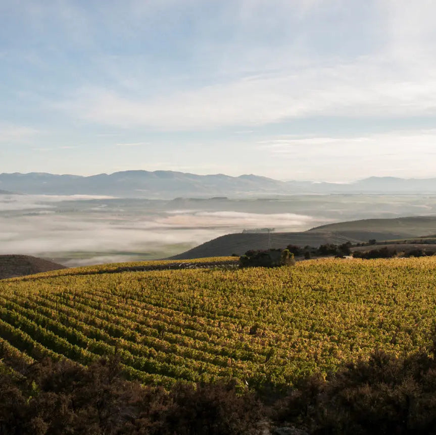 Prophet's Rock Masterclass: Benchmark Central Otago