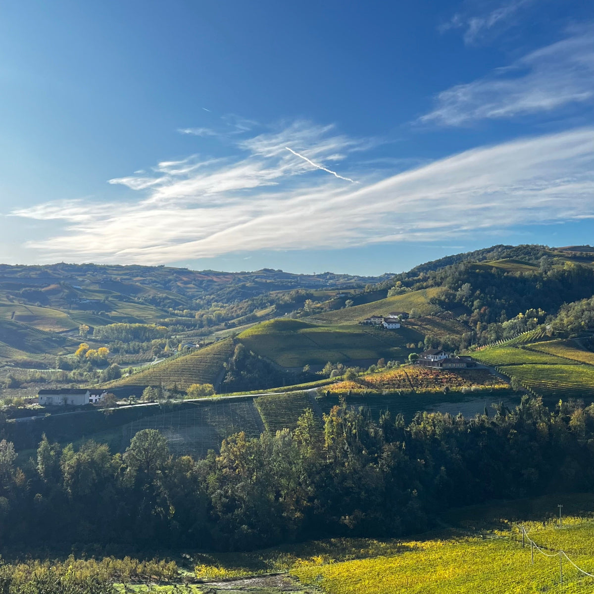 The Many Faces of Nebbiolo