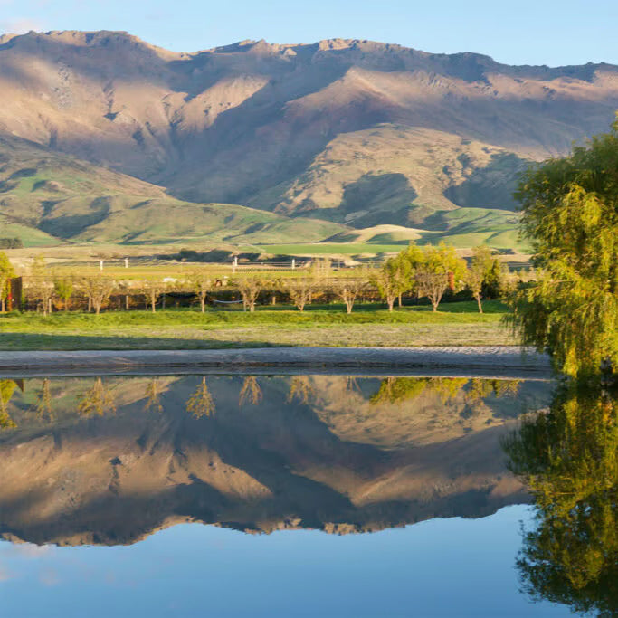 Prophet's Rock Masterclass: Benchmark Central Otago