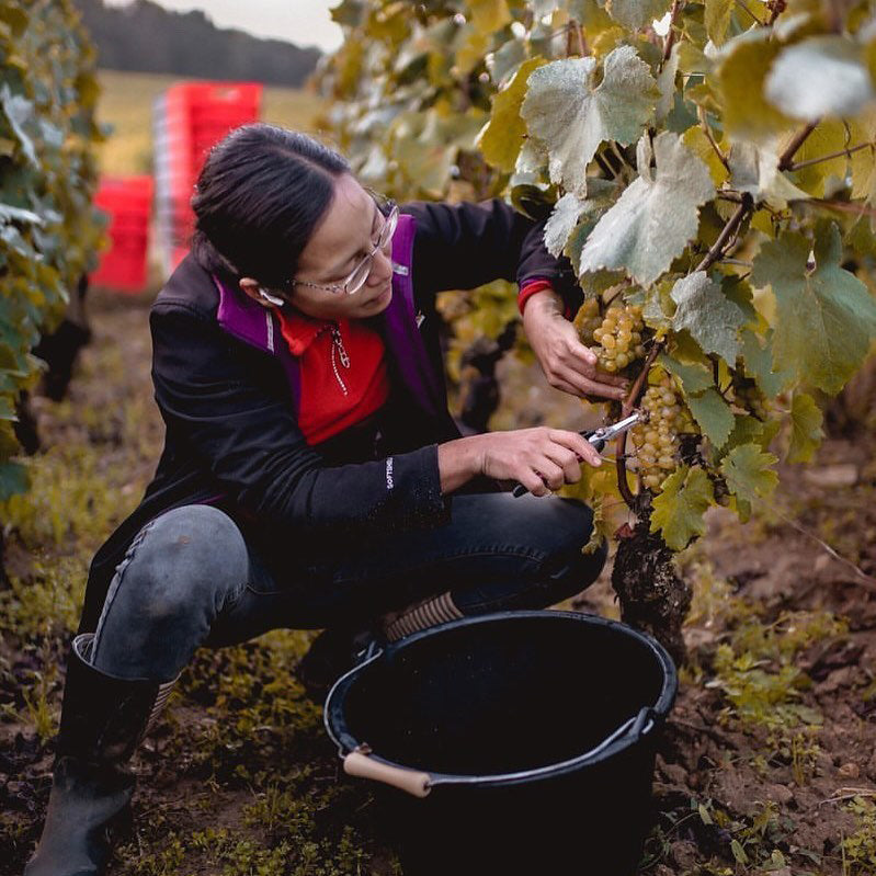Chanterêves Masterclass - Burgundy: With Tomoko Kuriyama and Guillaume Bott