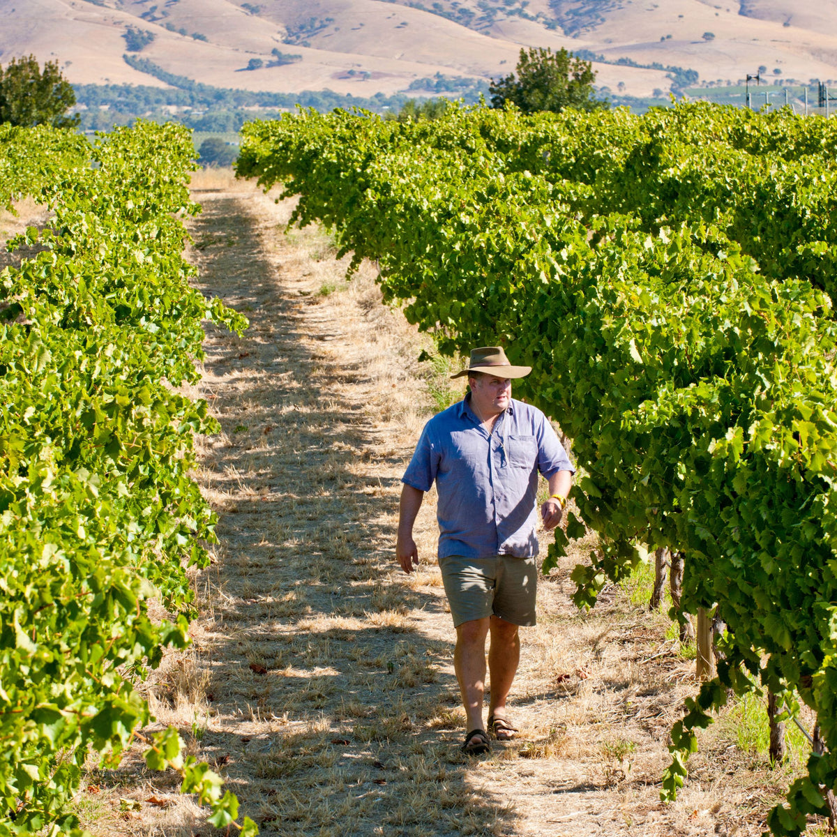 Brash Higgins Masterclass with Brad Hickey