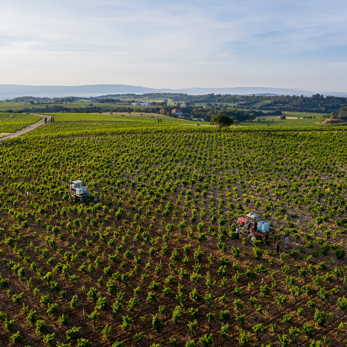 E. Guigal Masterclass: Inside One of The Rhone’s Most Iconic Producers