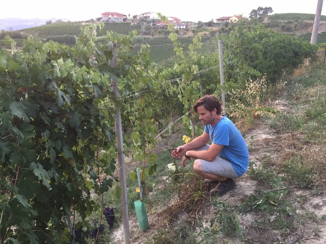 A Foot in Each World: Fletcher Wines Masterclass