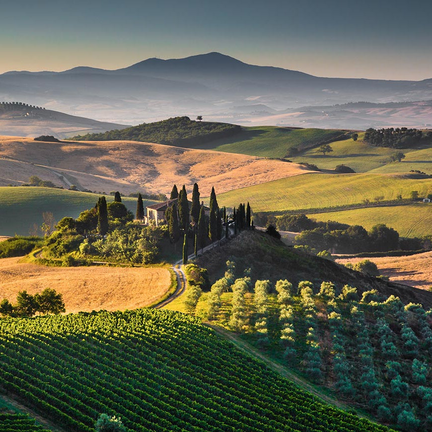 Destination: Sangiovese